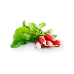 Radish