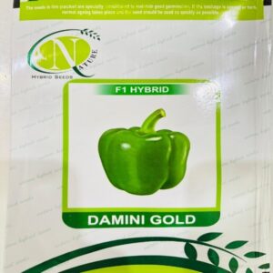 Damini Gold - Capsicum