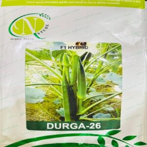 Durga-26_ Ladyfinger