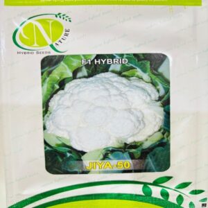 Jiya 50 - Cauliflower