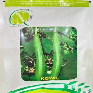 Koyal - Ridge Gourd