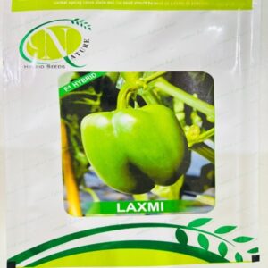 Laxmi- Capsicum