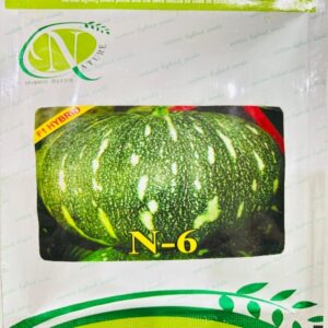N-6 _ Pumpkin