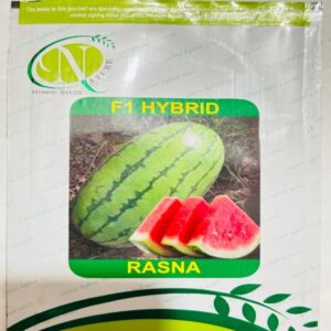 Rasna- Watermelon
