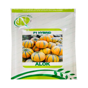 Alok Muskmelon Seeds - NatureHybridSeeds