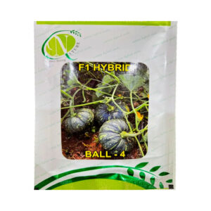 Ball-4 F1 Hybrid Pumpkin Seeds