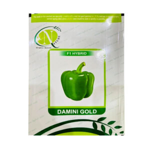 Damini Gold F1 Hybrid Capsicum Seeds