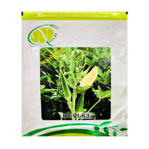 Devi-63 Ladyfinger Seeds