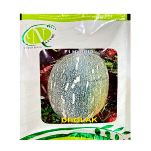 Dholak Pumpkin Seeds