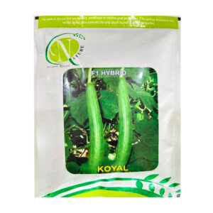 Koyal Ridge Gourd Seeds
