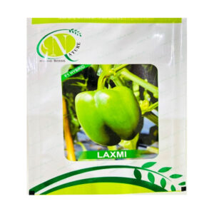 Laxmi Green Capsicum Seeds