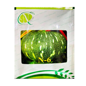 N-6 Green Pumpkin Seeds