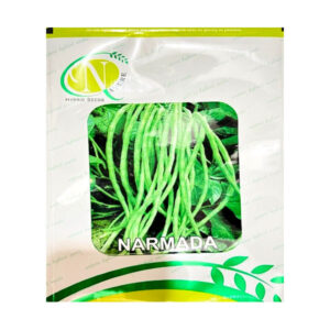Narmada Cowpea Seeds