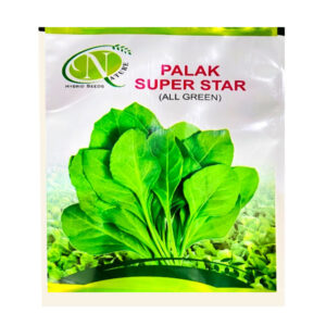 Palak super star – Spinach Seeds