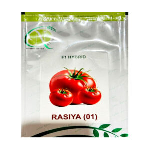 Rasiya Tomato Seeds