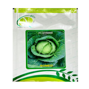 Romeo Cabbage Seeds