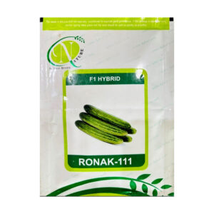 Ronak-111 Cucumber Seeds