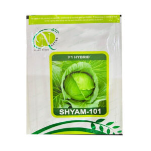 Shyam-101 Green Cabbage Seeds
