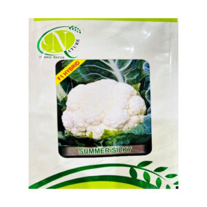 Summer Silky Cauliflower Seeds