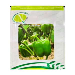 Sundari Capsicum Seeds