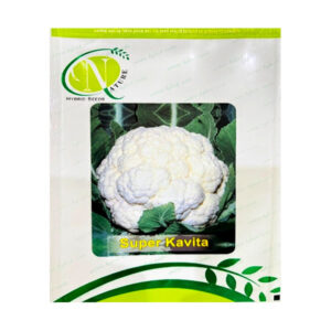 Super Kavita Cauliflower Seeds