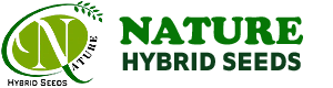 Nature Hybrid Seeds | High-Quality Agricultural Seeds for Farmers