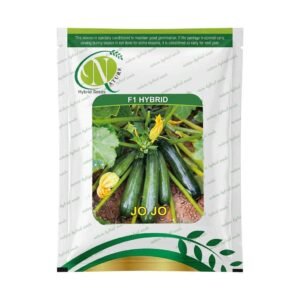 JoJo Ridge Gourd Seeds