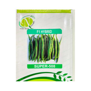 Super-508 Green Chilli Seeds