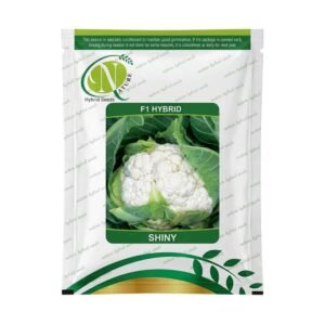 F1 Hybrid Shiny Cauliflower Seeds