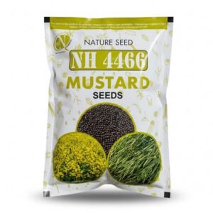NH-4466 Mustard Seeds